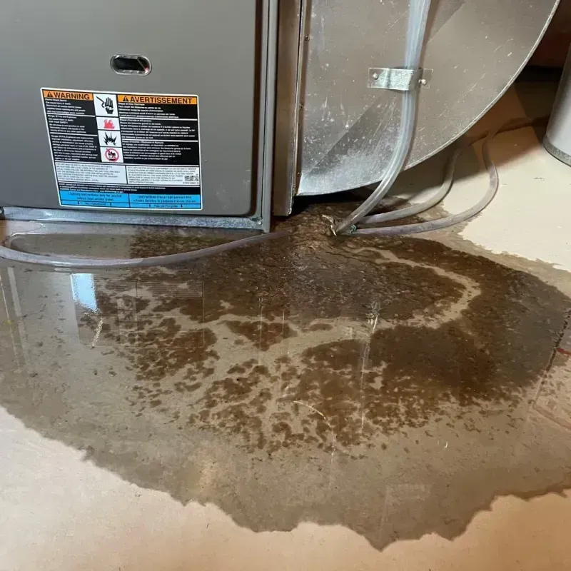 Appliance Leak Cleanup in Mingo Junction, OH